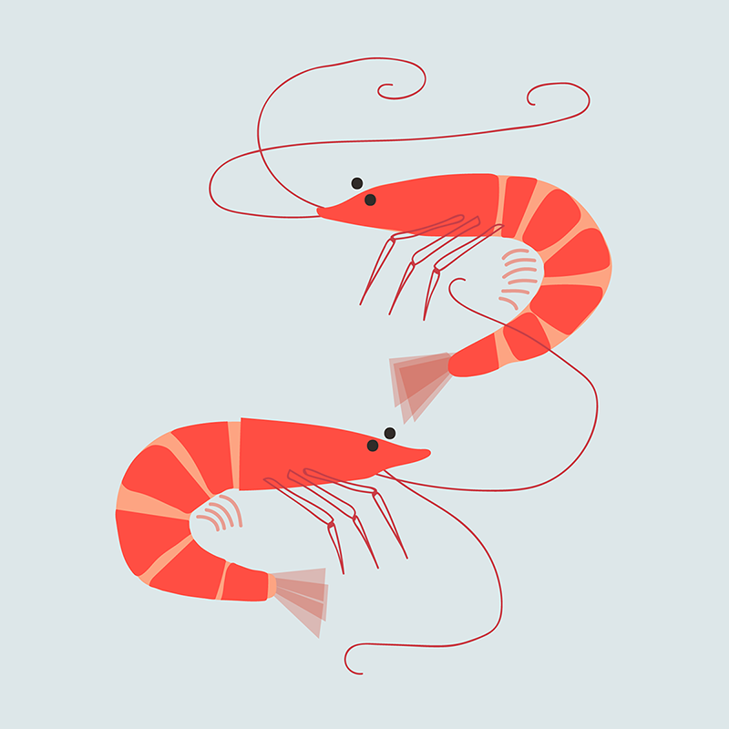 Tru Shrimp Brings New Type of Farming To South Dakota Hungry for Truth