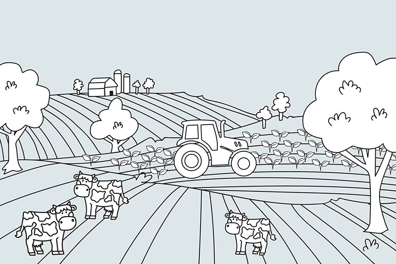 Coloring Contest