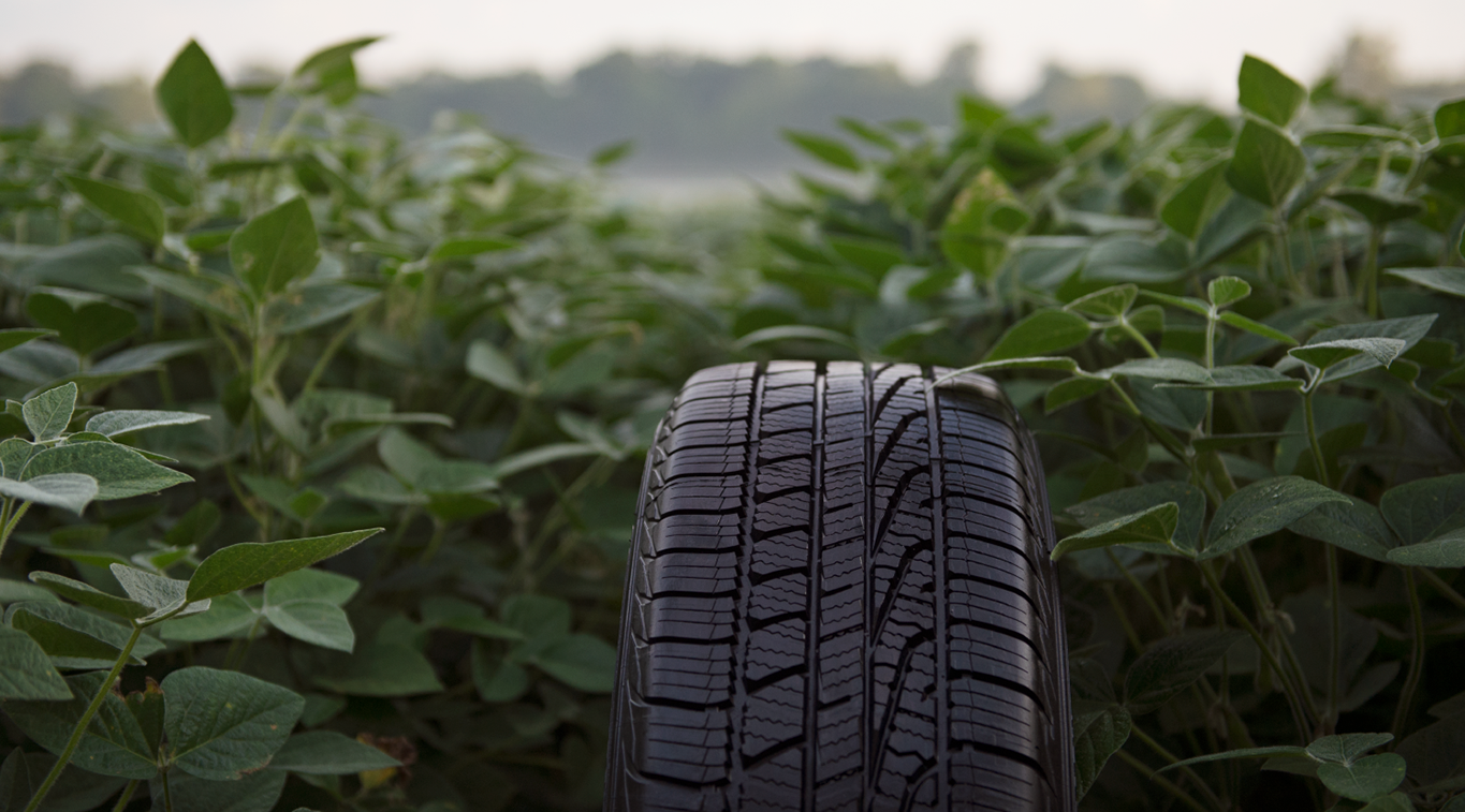 soybeans on the road