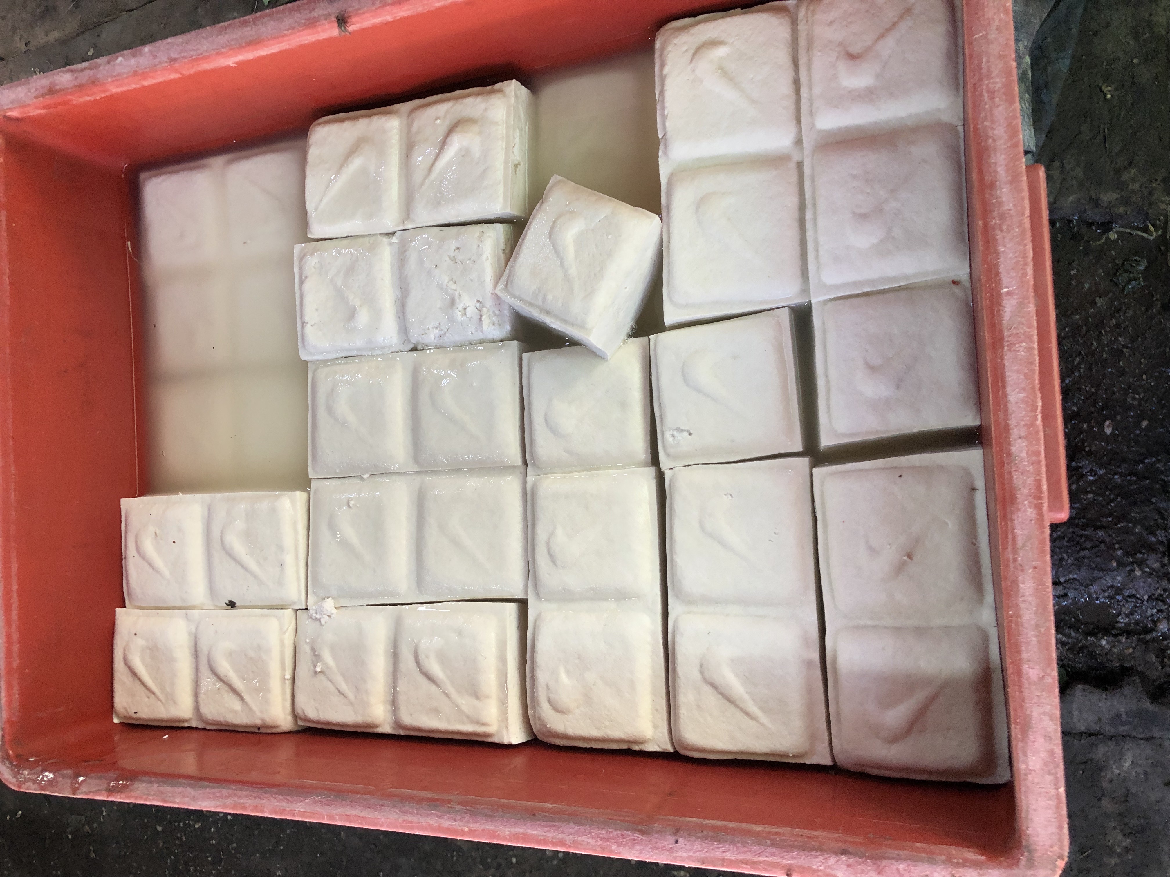 tofu-production
