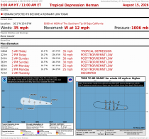 Tropical Depression Hernan