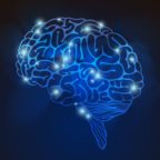 Learning About the Brain
