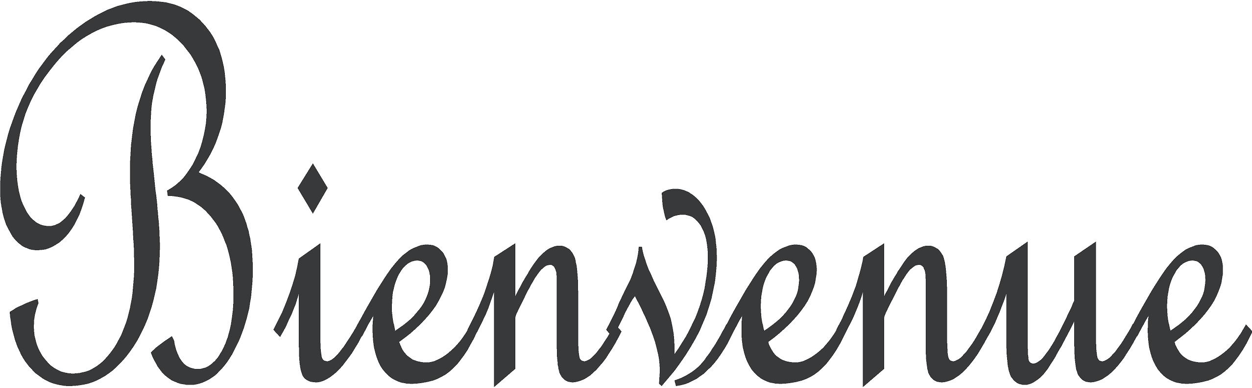 THE DIFFERENCE BETWEEN BIENVENU AND BIENVENUE visual data 7