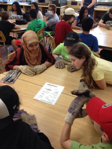Identifying salamander species