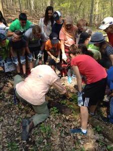 Teaching about the salamander habitat
