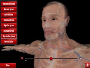 Anatomy Browser image