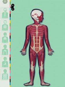Tiny Bop's Human Body image