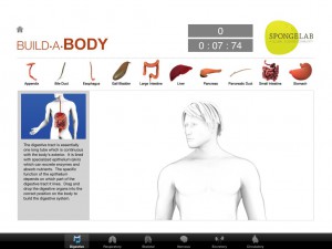 3D Spongelab's Build A Body image