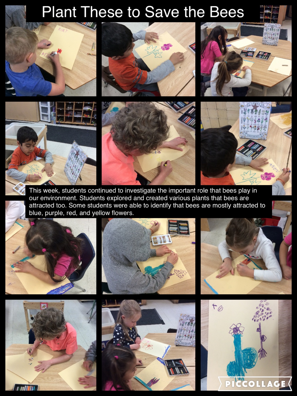 Plant These to Save the Bees – Our Kindergarten Journey