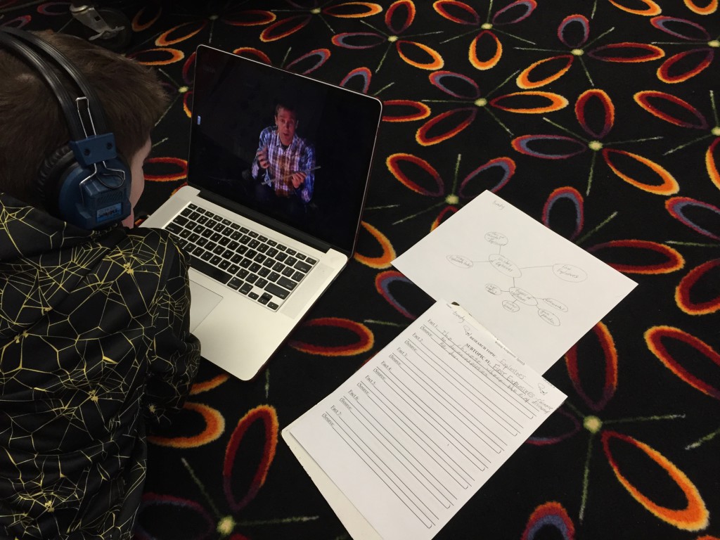 What does the spca do in south africa image