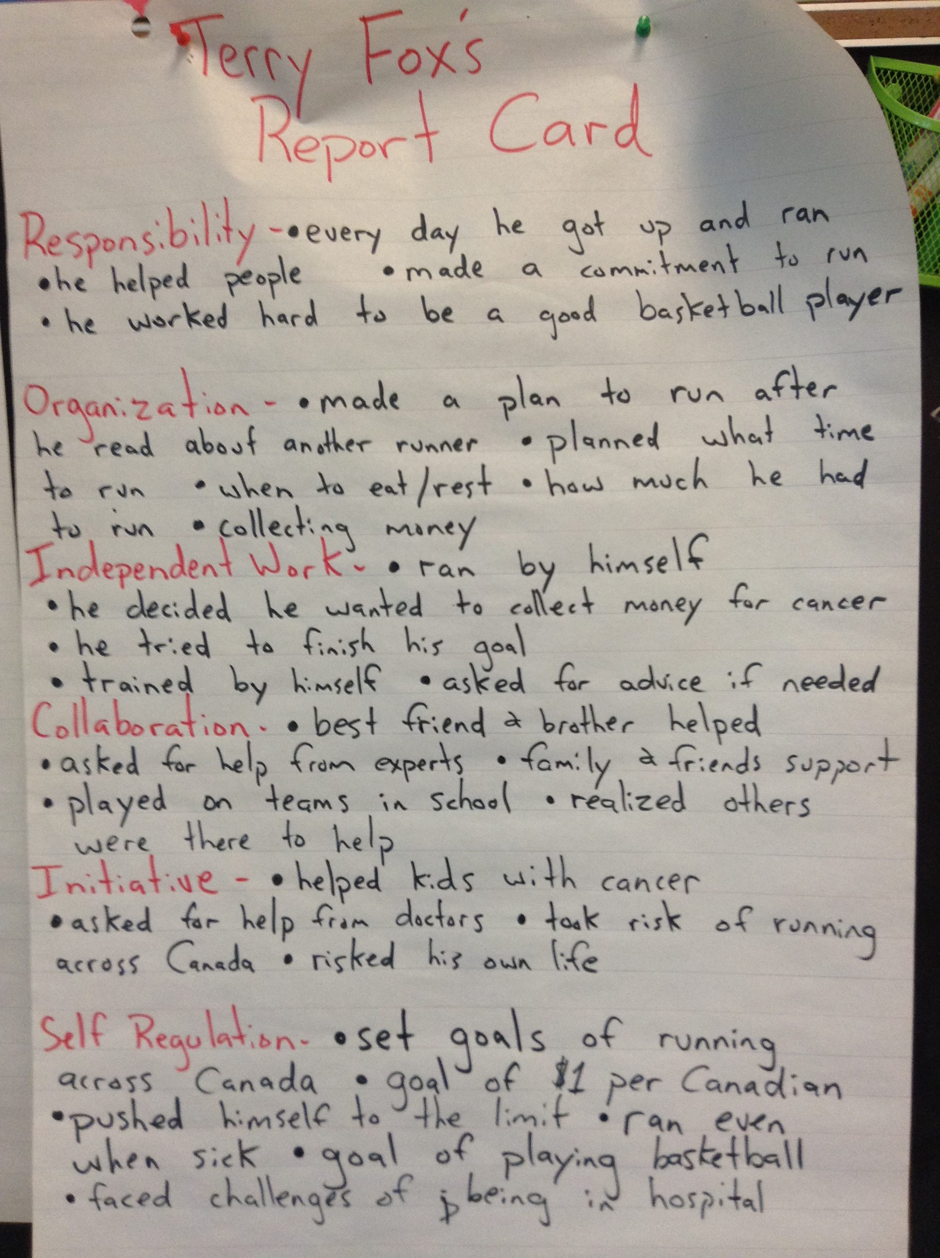 terry fox essay