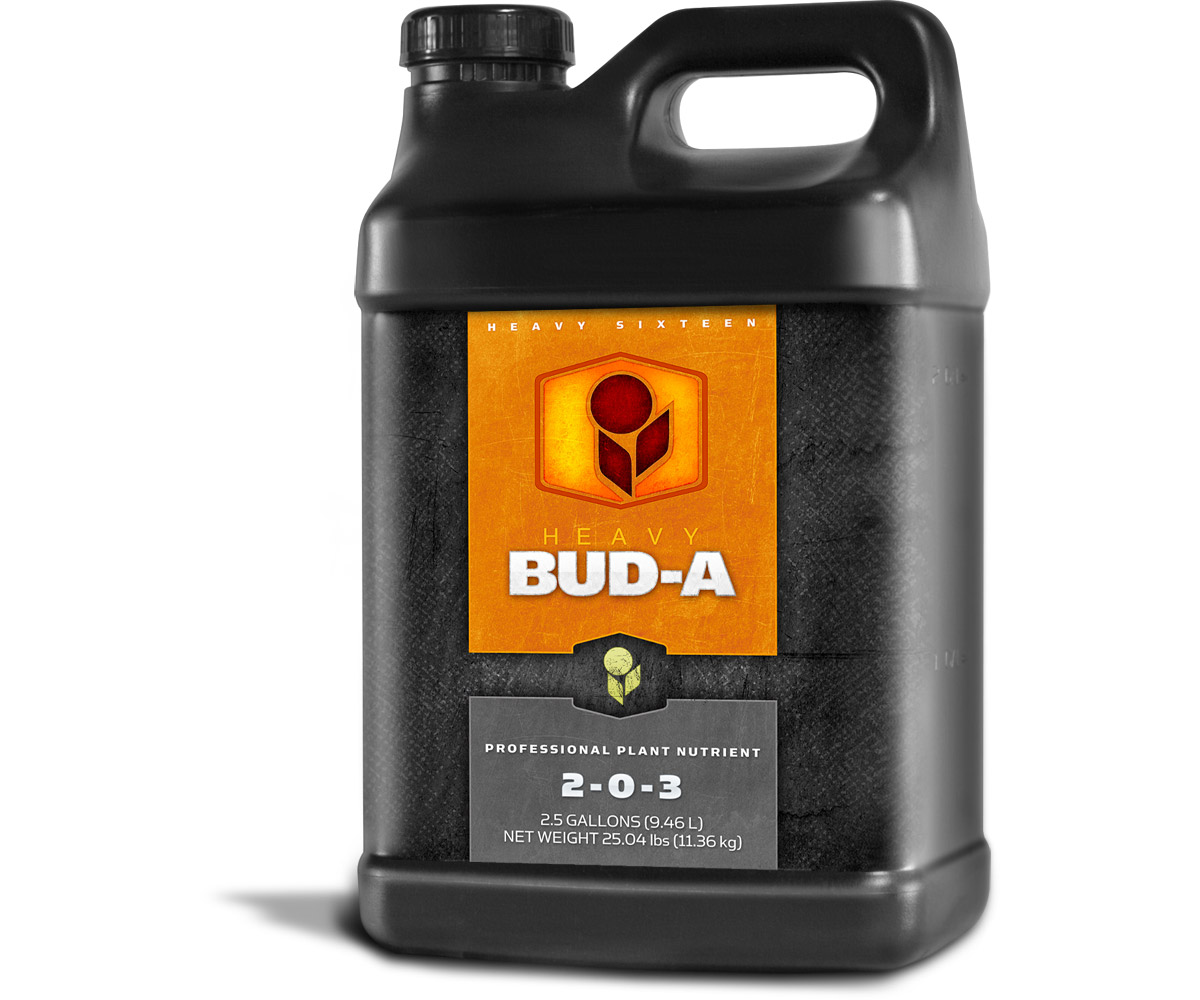 Heavy 16 Bud - Thumbnail 2