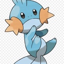 MudkipMaster