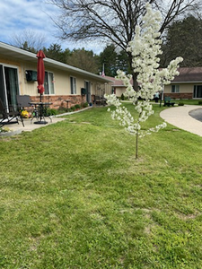 Pine Knoll Apartments