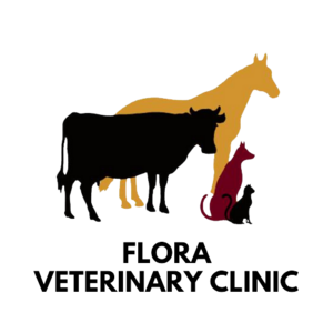 Flora Veterinary Clinic