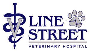 Line Street Veterinary Hospital
