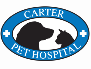 Carter Pet Hospital