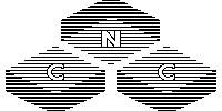 Northern Construction Corp