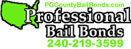 PROFESSIONAL BAIL BONDS