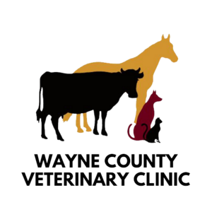 Wayne County Veterinary