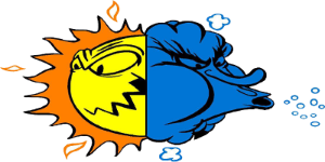 Bache Heating & Air LLC
