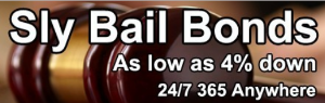 Sly Bail Bonds