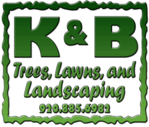 K & B Tree & Lawn Care