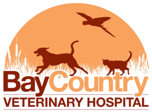 Bay Country Veterinary Hospital