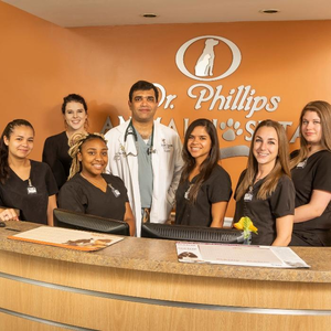 Dr. Phillips Animal Hospital
