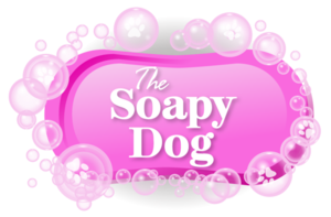 The Soapy Dog