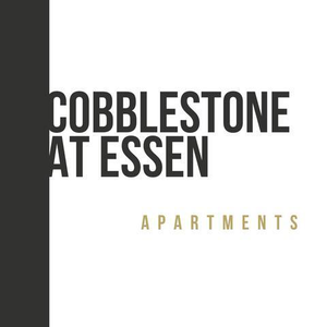Cobblestone at Essen