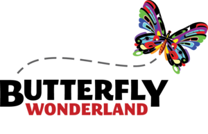 Butterfly Wonderland