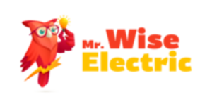 Mr Wise Electric