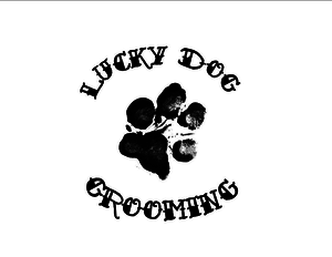 Lucky Dog Grooming
