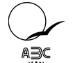 ABC Limousines Of Austin