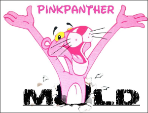 Pink Panther Mold