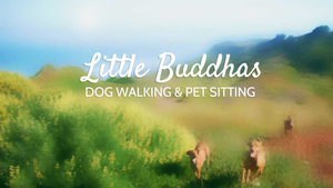 Little Buddhas Dog Walking & Pet Sitting