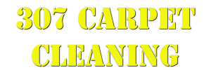307 Carpet Cleaning