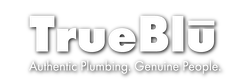 TrueBlu Plumbing LLC