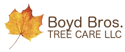 Boyd Bros. Tree Care LLC