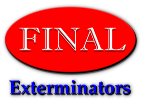 Final Exterminators