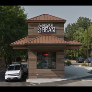 The Human Bean
