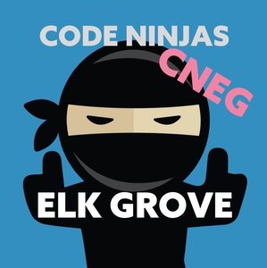 Code Ninjas