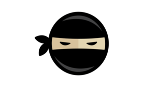 Code Ninjas