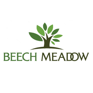 Beech Meadow