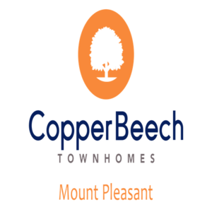 Copper Beech at Mount Pleasant