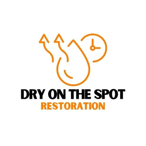 Dry On the Spot Restoration