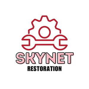 Skynet Restoration