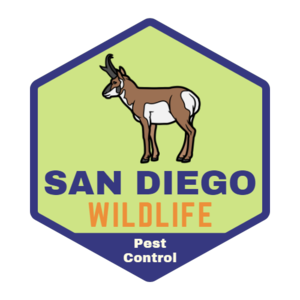 San Diego Wildlife Pest Control