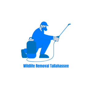 Wildlife Removal Tallahassee